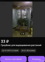 Screenshot_2025-04-21-04-09-02-682_com.avito.android.thumb.png.0d49fb608c509a6297dd1387dc89cf79.webp