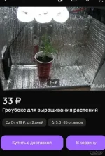 Screenshot_2025-04-21-04-09-14-357_com.avito.android.thumb.png.42e188f647ed6a3849f9ebbb06a4a688.webp