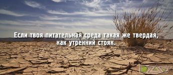 Полив 2