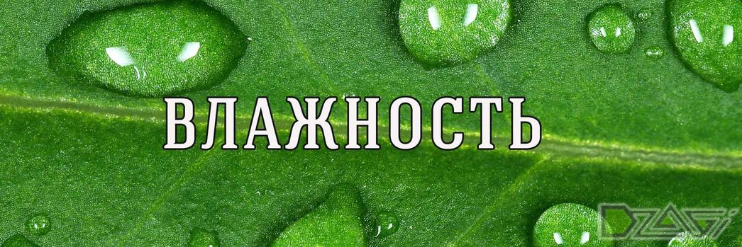 Температура 6