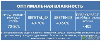 Температура 7