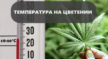 Температура 9