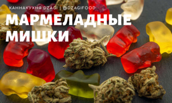 Мармеладные мишки 1