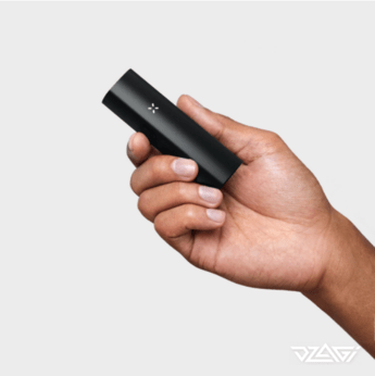Pax 3