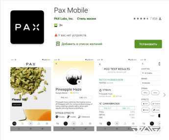 Pax 4