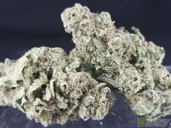Gelat.OG