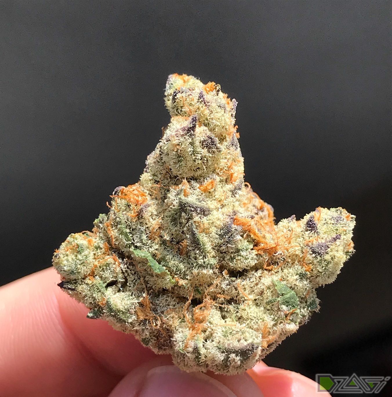 Cookies Kush