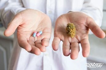 Сорта от боли — Blue Dream