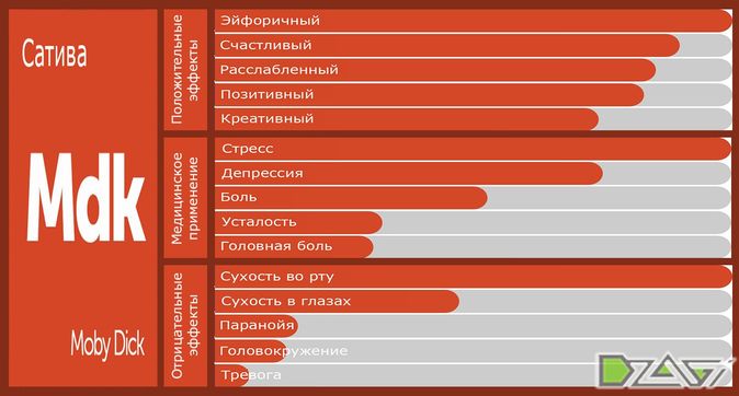 Отзывы пользователей