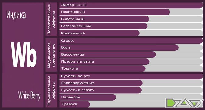 Выбор сорта