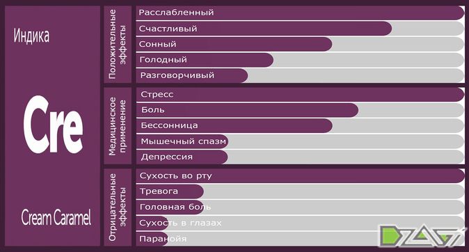 Советы по выбору