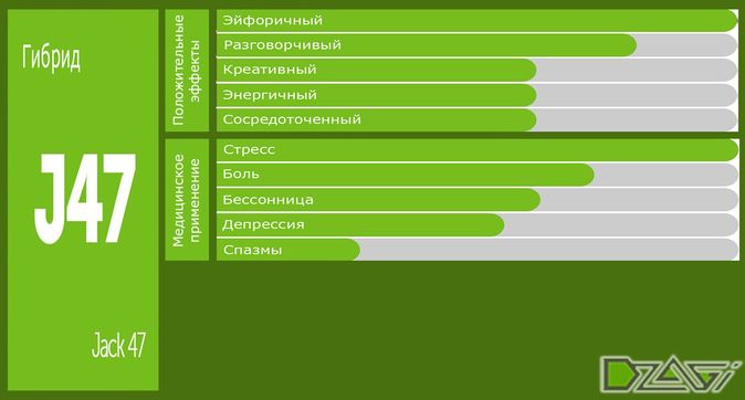 Как не ошибиться