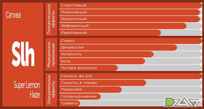 Выбор сорта — итоги