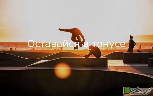 Выбор сорта — подборки