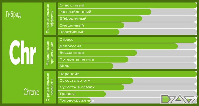 Выбор сорта — коллекция