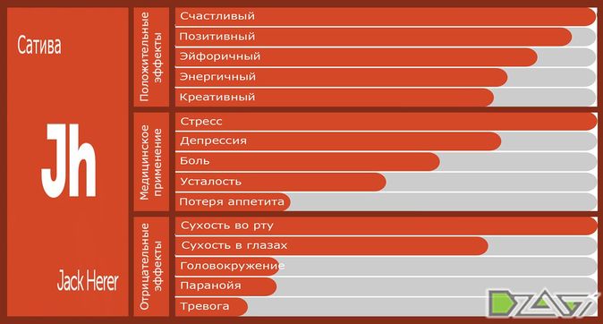 Выбор сорта — обои