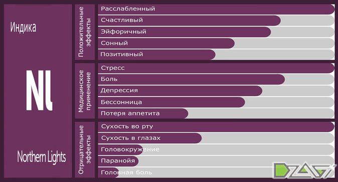 Выбор сорта — арт