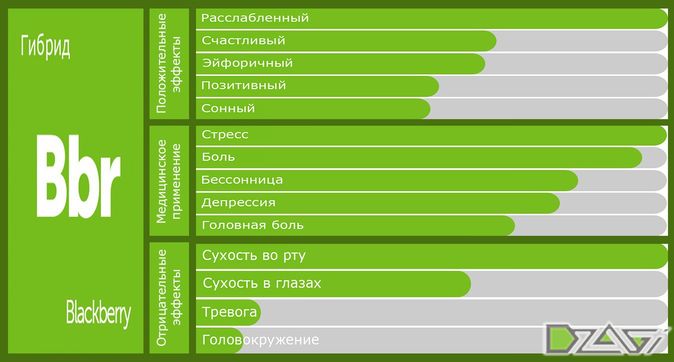 Выбор сорта — креатив