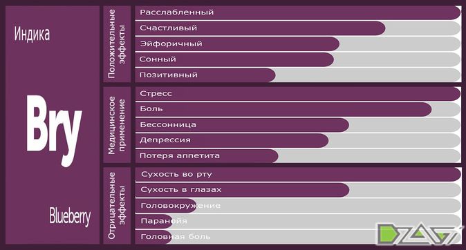 Выбор сорта — вдохновение
