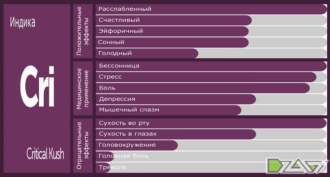 Выбор сорта — идеи