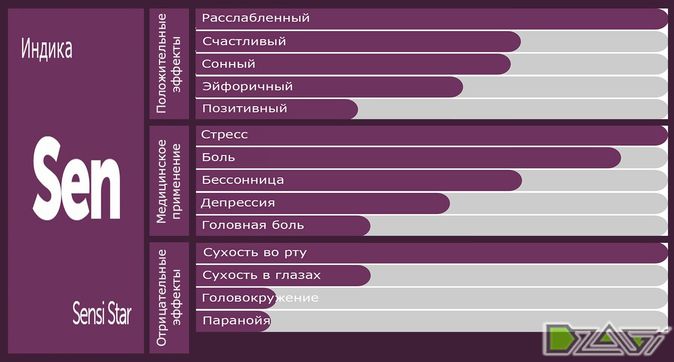 Выбор сорта — советы