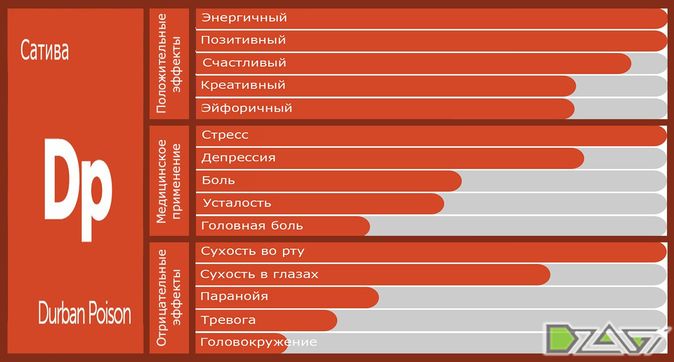 Выбор сорта — урок