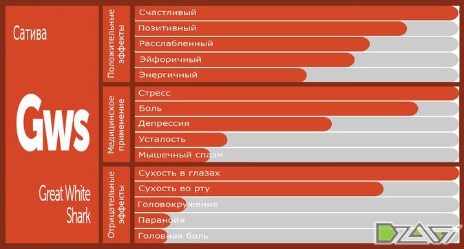 Выбор сорта — мастер-класс