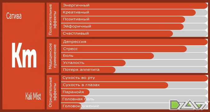 Выбор сорта — практика