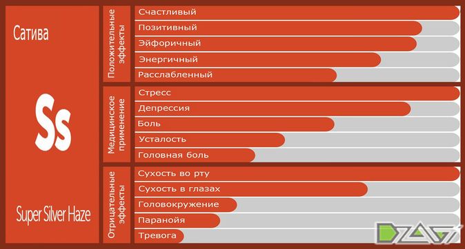 Выбор сорта — опыт