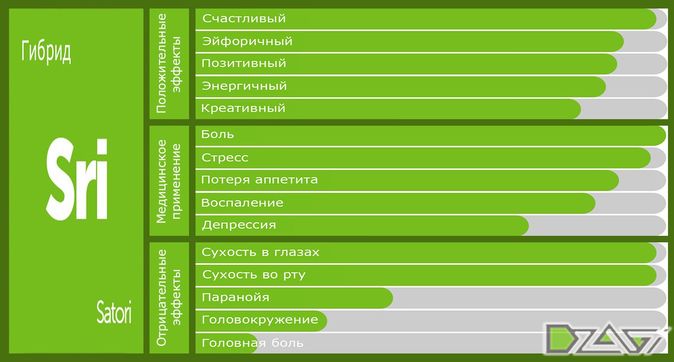 Выбор сорта — фундамент