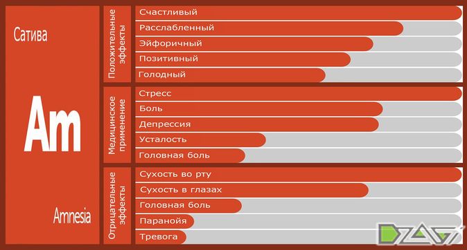 Выбор сорта — структура