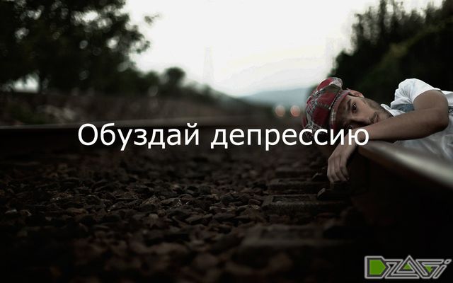Выбор сорта — техника