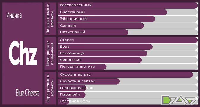 Выбор сорта — стратегия