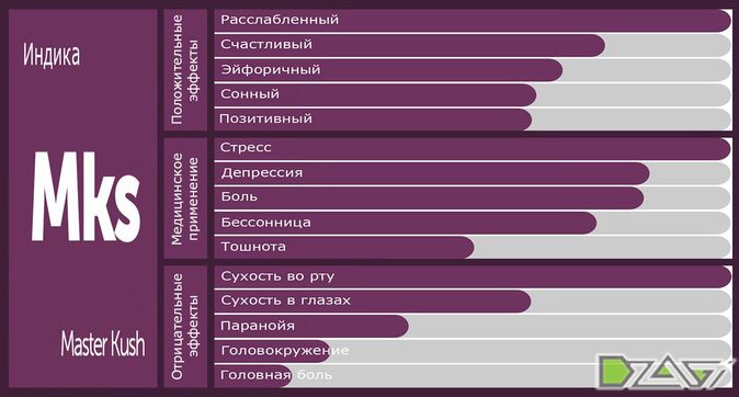 Выбор сорта — тактика