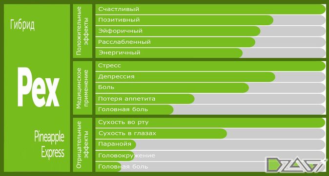 Выбор сорта — финал