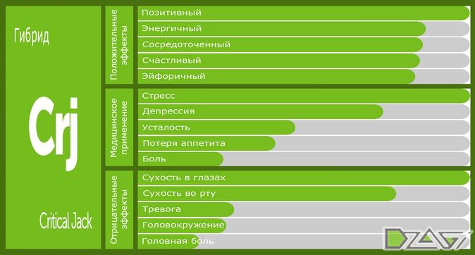 Выбор сорта — обложка