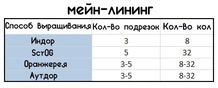 Мейн-лининг — финал