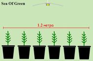 ScrOG установка