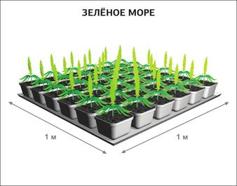 SoG установка