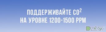 Сравнение топпинга и фиминга