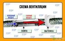 Топпинг vs FIMing