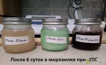 Эксперимент по заморозке — Gro
