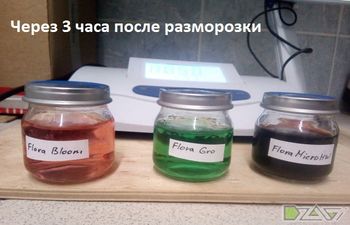 Эксперимент по заморозке — Micro