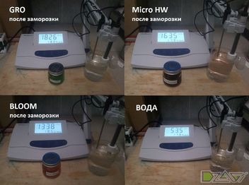 Эксперимент по заморозке — результат