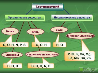 Витамины для растений — E