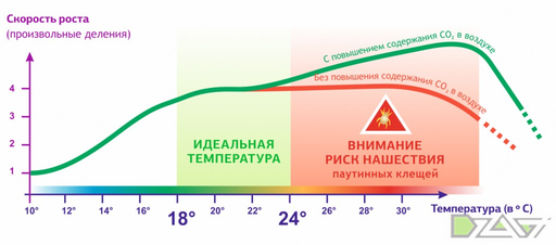 Сам вырастил 3