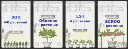 Количество 3