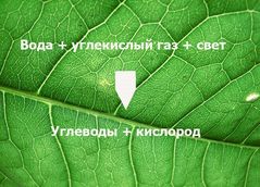 Высота 2